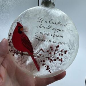 Large frosted light up Cardinal ornament.